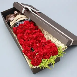 Red Carnations Bouquet | Philippines